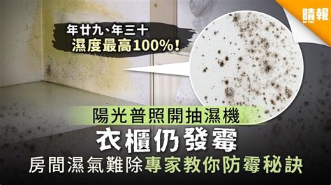 房間濕氣重|家裡太潮濕，房間反覆發霉怎麼辦？韓國專家教你用9個便宜好物…